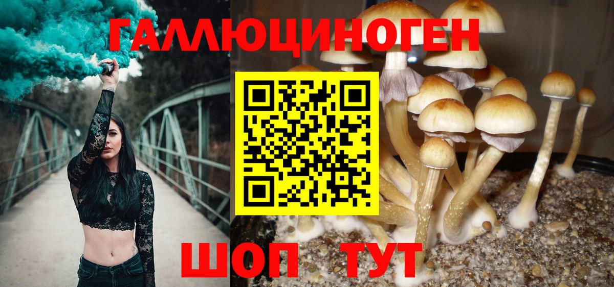 Галлюциногенные грибы ЛСД  даркнет сайт  Галлюциногенные грибы мухоморы  Калуга  Вход с VPN 